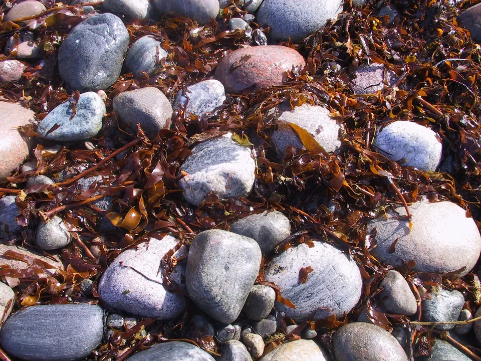 Rollsteine am Strand im Raet-Nationalpark