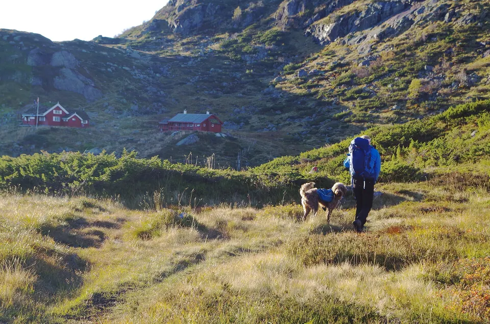 Wanderer mit Hund im Setesdal